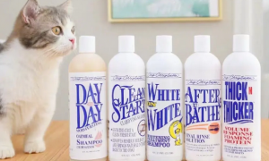 十大宠物猫沐浴露品牌