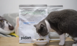 pidan猫粮是国产嘛