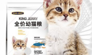 kingjerry猫粮是国产猫粮吗