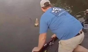 渔夫河中意外捞出一只橘猫，几分钟后又捞出一只，还都是活的！