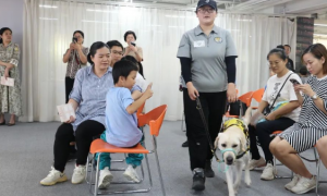 它是视障人士的“眼睛”，导盲犬温暖亮相北京路！