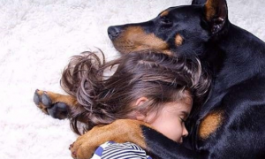 小女孩与杜宾犬，画面温馨得太幸福 ！