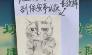 河北小区保安捡到一条猫，帮忙画猫寻主人，网友直呼：灵魂绘画！