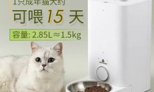 猫咪自动喂食器哪个好