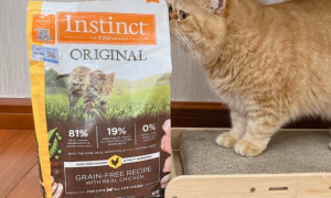 instinct猫粮官方旗舰店是真的吗
