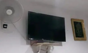 网友把电视装到天花板上，可没想到在二哈面前还是不堪一击