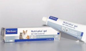 猫狗营养膏的作用