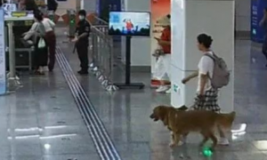 发现女孩带导盲犬坐地铁，警察悄悄跟随守护400多天…