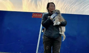 山西临汾：退休女警官李晋玲和她的流浪狗基地