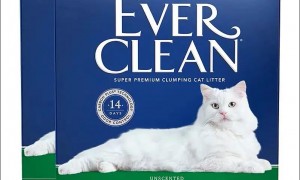 ever clean猫砂怎么样