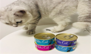 国产猫罐头哪个品牌好