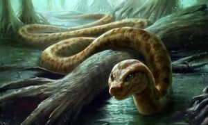 沃那比蛇是国家几级保护动物