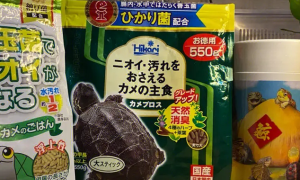 龟粮一次喂多少粒