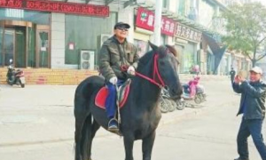 郑州七旬老人养马当宠物骑行街头，交警：不进市区可以骑