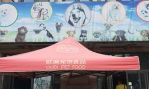 上海一狗舍被指频卖病狗：多个马甲网站营销百度称点1次1元