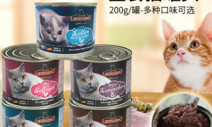 小李子主食罐头猫可以以天吃吗