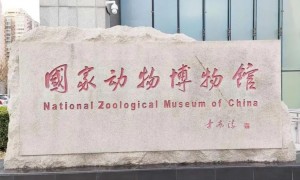 国家动物博物馆：清明假期三天均正常开放，参观须预约