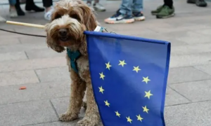 不是段子！外媒：冯德莱恩刚说完“欧洲万岁”，欧洲议会现场传出狗叫声