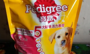 中国宠物食品公司