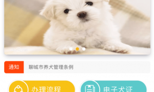 聊城上线 “电子犬证”，开始对养犬进行信息化管理