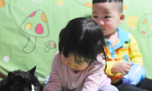 女儿想养宠物猫，遭家长反对而争吵，如何与青春期的孩子有效沟通