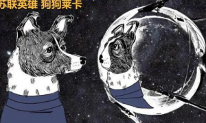以讹传讹八个常识错误：莱卡犬是进入太空第一狗？