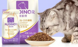 猫粮雷米高多少钱一袋