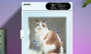 jirpet烘干箱怎么样