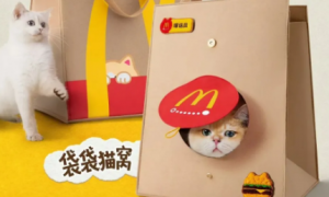 中国快餐市场加速洗牌 麦当劳盯上“养宠人”钱包
