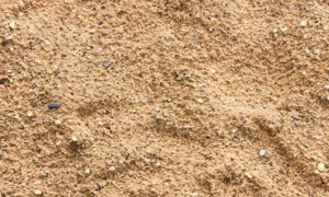 普通沙子如何变成猫砂