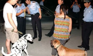 要把狗狗写在户口本上？北京警方：或承担法律责任，不可效仿！