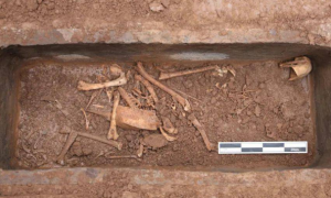 考古揭秘：汉文帝霸陵殉葬坑发现神奇动物貘，还配有“饲养员”