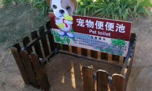 狗狗也有“公厕”了，长沙县这个“别人家的社区”一口气建了3座