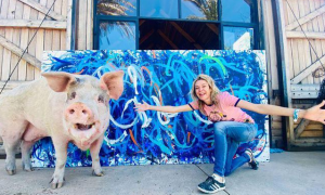 全世界最会画画的小猪，已创作出超400幅作品