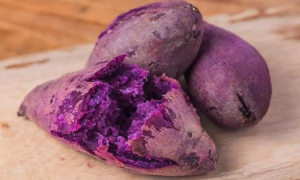狗能吃紫薯吗
