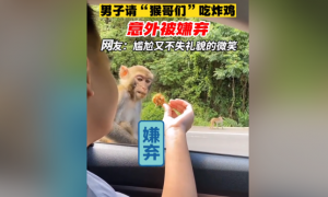 路上偶遇“猴哥”，将自己舍不得吃的炸鸡给它，却……