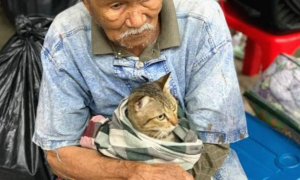 风暴撤离现场，爷爷紧紧抱着自己的猫，画面太暖了