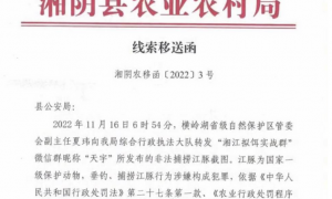 疑似男子违法垂钓江豚致其死亡，湘阴农业部门：已将线索移送警方，如属实构成犯罪