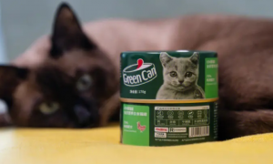 猫咪长期吃罐头好吗