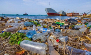 每年制造大量的塑料垃圾，有没有进化出可以分解塑料的生物？