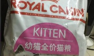 皇家奶糕猫粮和幼猫粮的区别