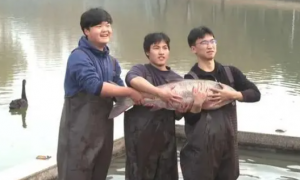 松江这所高校捕鱼400多公斤，“全鱼宴”免费吃