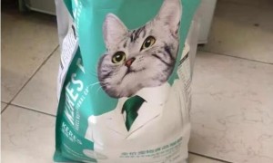 凯锐思猫粮怎么样值得买吗