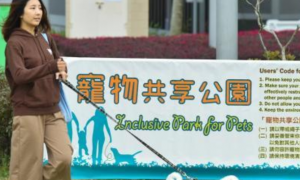 香港“宠物共享公园”增至103个 “人宠共融”受考验
