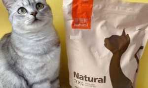 捷嘉鲜猫粮是毒猫粮吗