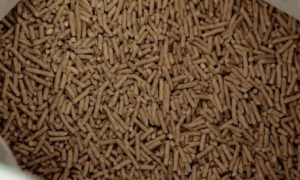 猫砂每公斤价格