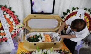 日本宠物殡葬业扩展：有葬礼服务还有悼念咖啡馆