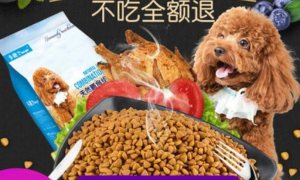 多趣狗粮——为爱宠提供全面的营养与口感