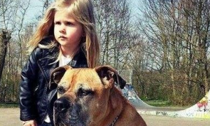 女孩和狗狗的生离死别：人与狗之间的友谊感动