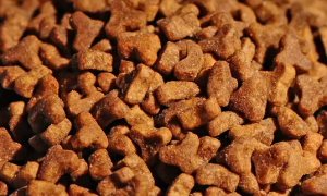 溢翠园狗粮：为爱犬提供全面营养的优质选择